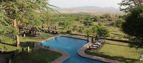 serengeti sopa odge