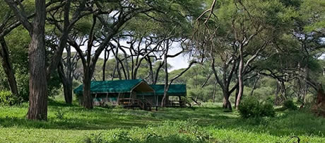 swala camps