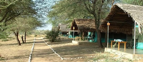 tarangire safari lodge