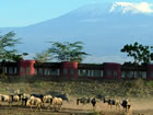 amboseli serena