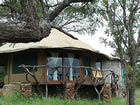 Serengeti Simba Lodge