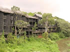 shimba