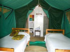 Tarangire Safari Lodge